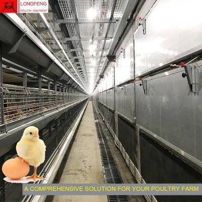 Professional Adapted to All Climatic Conditions Automatic Egg Incubator Pullet Layer Chicken Cage