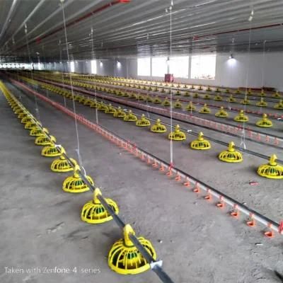 Poultry Farming Equipment Design Automatic Chicken Livestock Raising Equipment for Sale