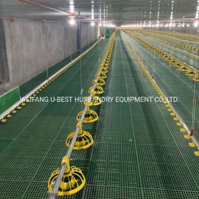Chicken Poultry Farm Equipment for Broiler House in Philippines