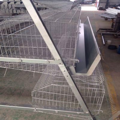 Type a Layer Cage Raising Equipment for Layer Chickens House