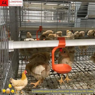 144, 192, 240, 288birds 3-6tiers Mature Design Poultry Farm Layer Cages with Good Price