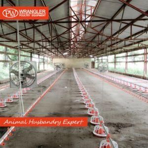 Automatic Broiler Feeder