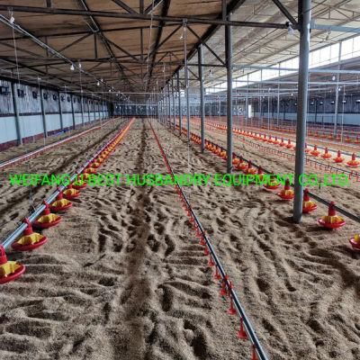 Fully Automatic Equipment for Poultry Farming Feeding Line System Broiler Chicken Products