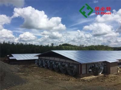 Prefab/Prefabricated Light Weight Steel Structure Frame Metal Livestock Farm /Poultry Farms/Poultry Chicken Farm with Equipment