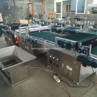 Automatic Hole Tray Vegetable Nursery Seedling Machine Seeder