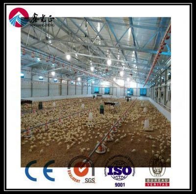 Steel Structure for Poultry House/Chickend Farm/ Broiler House