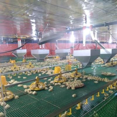 Advanced Design Complete Set Automatic Chicken Broiler Poultry Farming Equipment