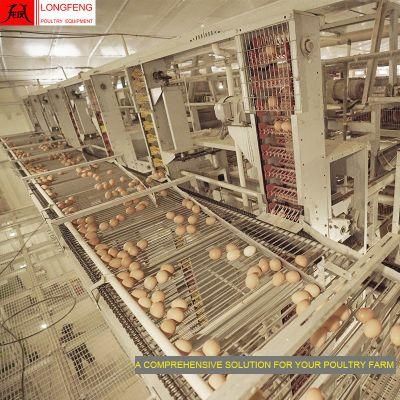 Local After-Sale Service in Asia Fans and Cooling Pad Poultry Farm Chicken Cage