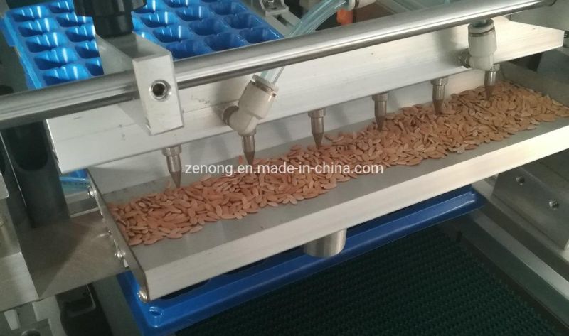 Automatic hole tray nursery seed sowing seedling Machine for vegetable flower