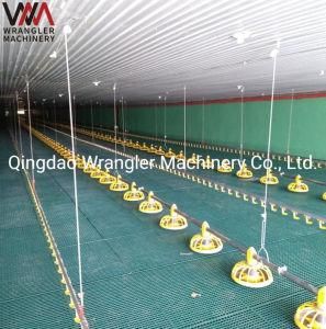 Automatic Chicken Farm Feeding System Price Broiler Feeder Poultry Farming Equipment for Sale