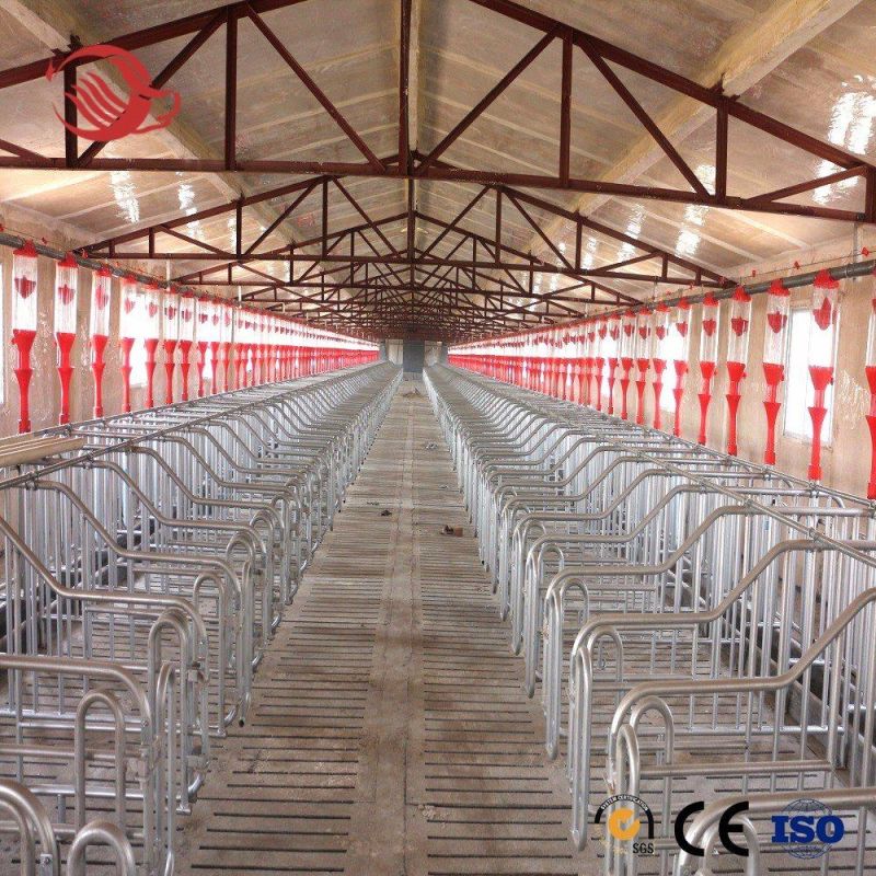 Whole Sale Hot Dipped Galvanizing Steel Pig Gestation Crate