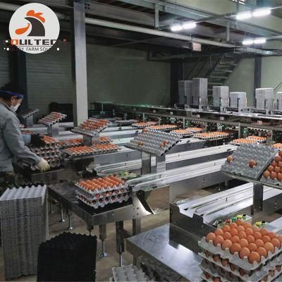 Poultry Layer Farming Automatic Egg Packing Machine