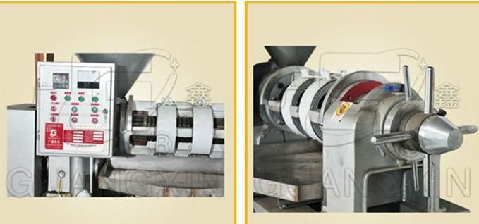 Automatic Oil Expeller with Oil Filter (YZLXQ95)