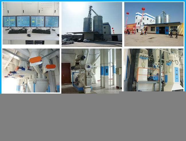 Cattle Farm Concentrate Feed Processing Equipments Plant