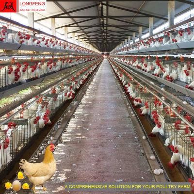 430cm2 or 450cm2 a Type Chicken Layer Battery Poultry Farm Cage