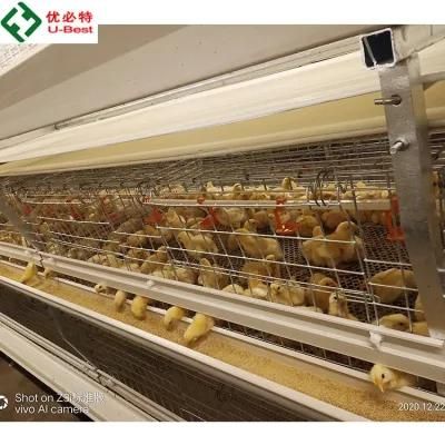 Hot Sale 3tier 120 Birds Broiler Chicken Cage Automatic for Wholesales