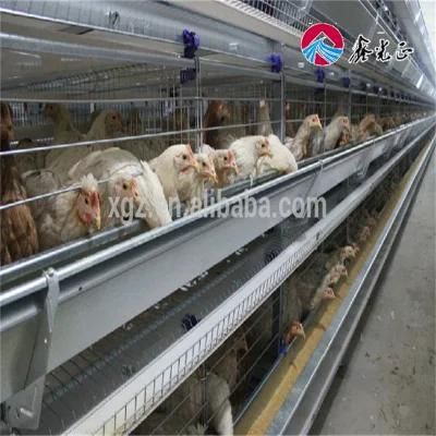 Prefabricated Broiler Poultry Farm House Design in Africa