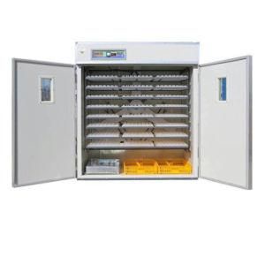 Chicken Egg Incubator Supplied by China Poultry Equipment Eggs Solar Power Incubator
