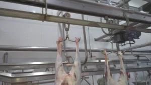 Puncher for Skinning Sheep Slaughtering Equipment Lamb Skinning Machine Schafe Enthutungsmaschine