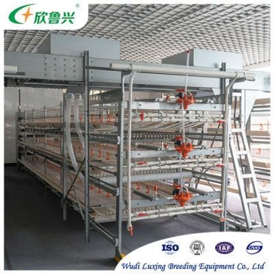 Design Modern Automatic Galvanized Chicken Cage House Poultry Farm Equipment for Sale