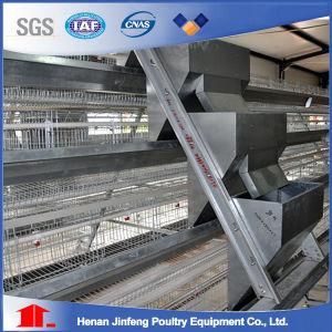 Jinfneg a Type Automatic Chicken Cage System