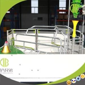 Agricultural Equipment for Sow Plastic High Quality Farrowing Crates