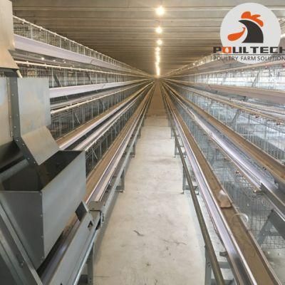 Good Price for Poultry Cages Layer Cages Egg Chicken Cage