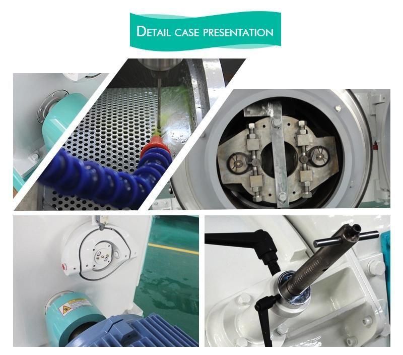 Professional Manufacturer Aquatic Sinking Fish Feed Pellet Machine Mill