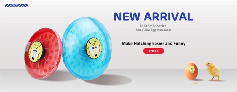 S52 Egg Incubator with Competitive Price