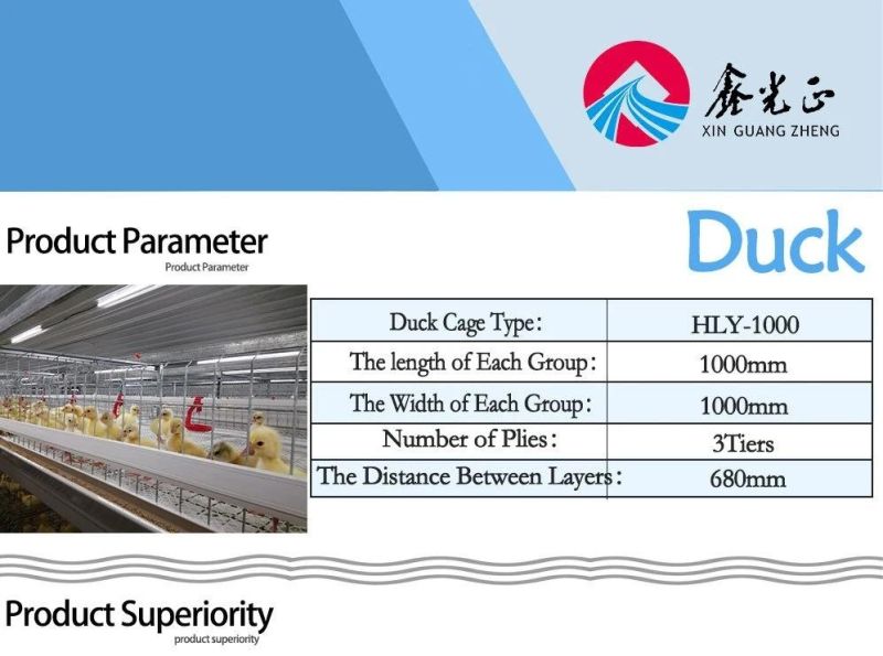 Customized Factory Price Steel Structure Farm Duck House