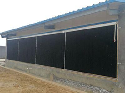 Evaporative Cooling Pad /Wet Curtain for Poultry Farm/ Greenhouse
