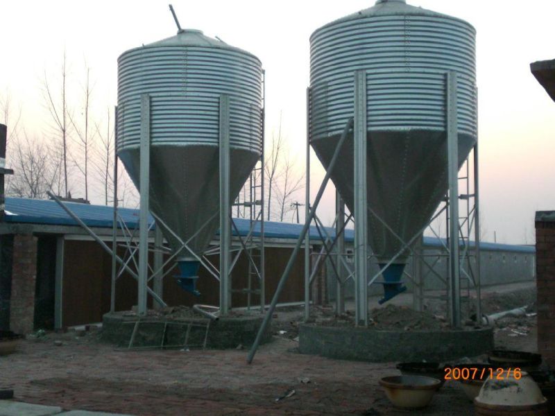 Modern and Advanced Automatic Poultry Equipment for Broiler/Breeder/Layer Chicken