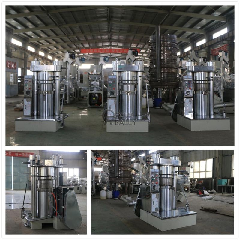 Commercial Oil Press Machine Nuts Oil Extractor Machine Hydraulic Cold Oil Extractor Sunflower Seeds Coconut Oil Extraction Equipment