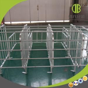 Pig Equipment Hot Galvanized Gestation Stall for Swine Equipment