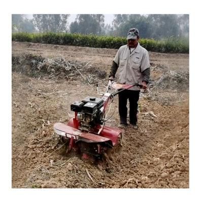 Tilling-Equipment-Small-Cultivator-Gasoline-Diesel-Mini