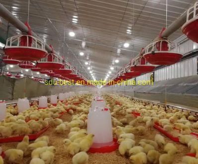 Automatic Complete Poultry House Feeding Equipment Broiler Feed Line System