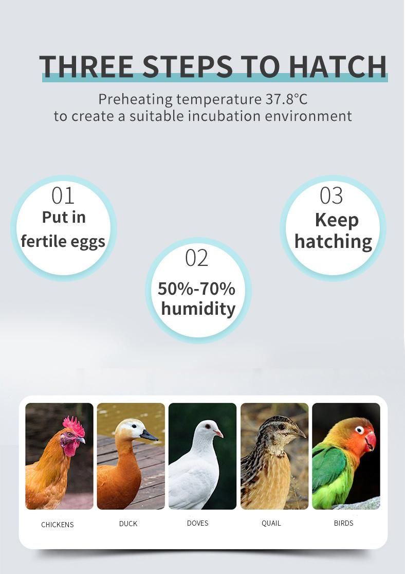 Competitive Price Home Use Chicken Egg Incubator with Universal Trays