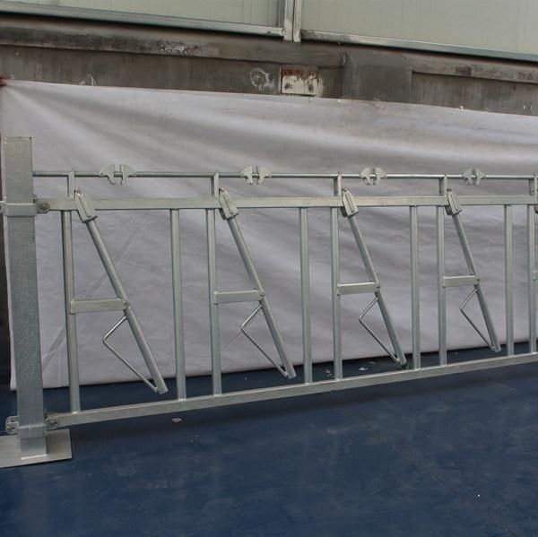 Cow Livestock Used Cow Self-Locking Cattle Headlocks Feeder for Sale