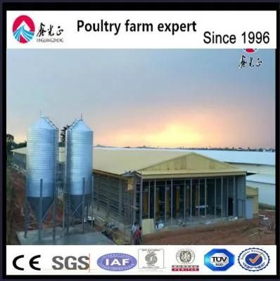 Whole Set Poultry Farm House Rawing for Broiler/Breeder/Turkey