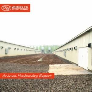 Pw Poultry Farm Equipment for Chicken Broiler Breeder Farming