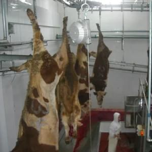 Hajj Buffalo Butcher Machine for Halal Cow Meat Slaughter House
