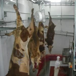 Hajj Buffalo Butcher Machine for Halal Cow Meat Slaughter House
