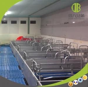 Good Quality Galvanized Farrowing Crate