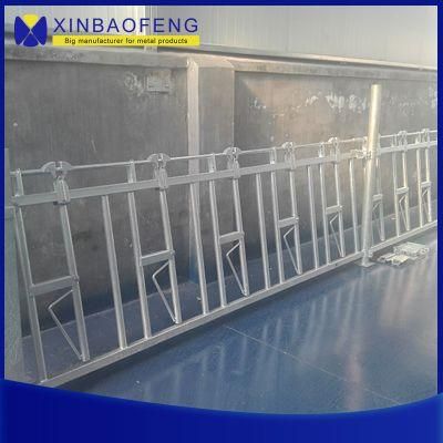 Cow or Cattle Hot Dipped Galvanized Stall Fence and Headlock for Sale