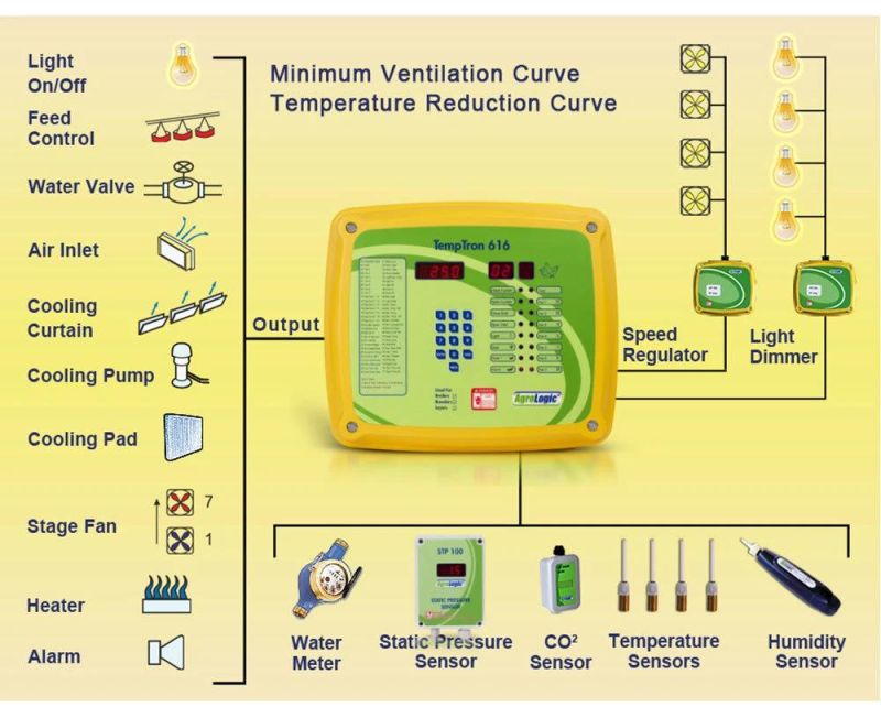 Self Span Automatic Steel Poultry Farm System with Control Center