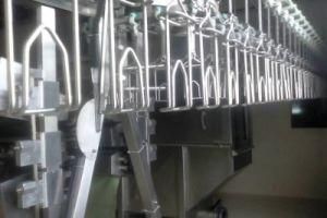 Automatic Sheep Slaughter House Equipment