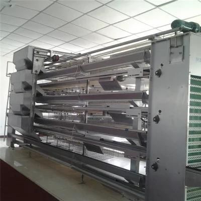 Long Life Quickly Built Automatic High Tech Meat Chicken Farm