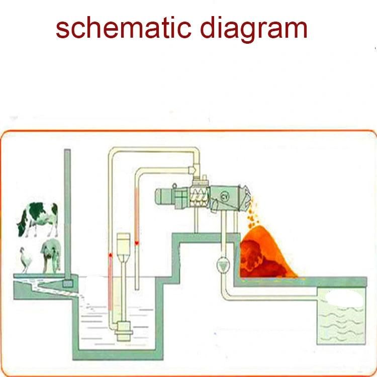 Screw Press Animal Dung Solid Liquid Separator Fecal Dehydrator