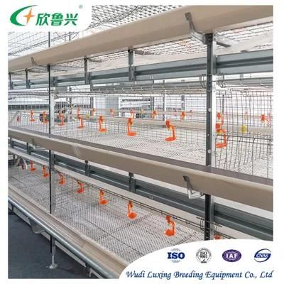 H Frame Feeding Cage for Layer Chicken Battery Cages Equipment