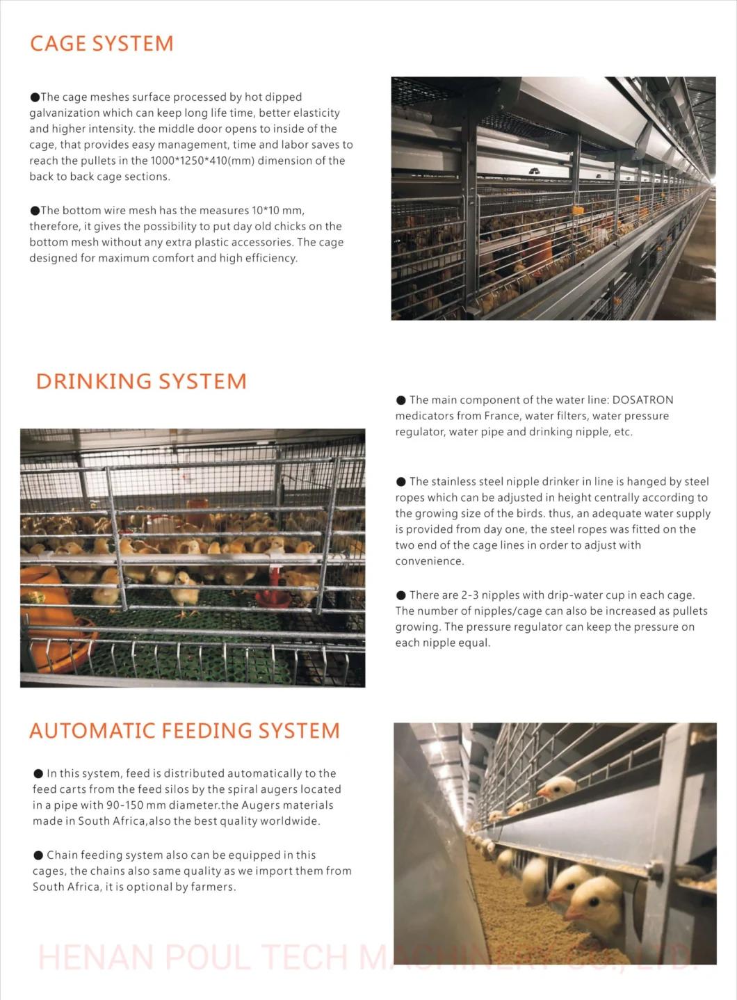 a Type Layer Cage Raising Equipment for 50000 Birds Layer Project